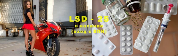 хмурый Сосновый Бор