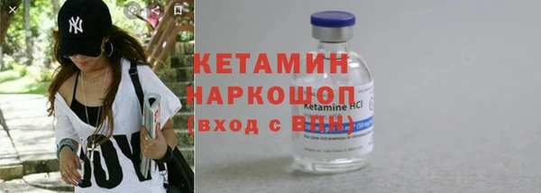 хмурый Сосновый Бор