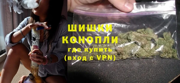 хмурый Сосновый Бор