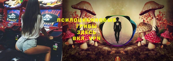 хмурый Сосновый Бор