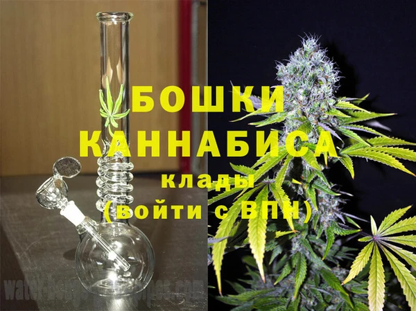 хмурый Сосновый Бор