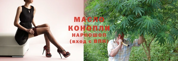 хмурый Сосновый Бор