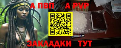 шишки Аргун