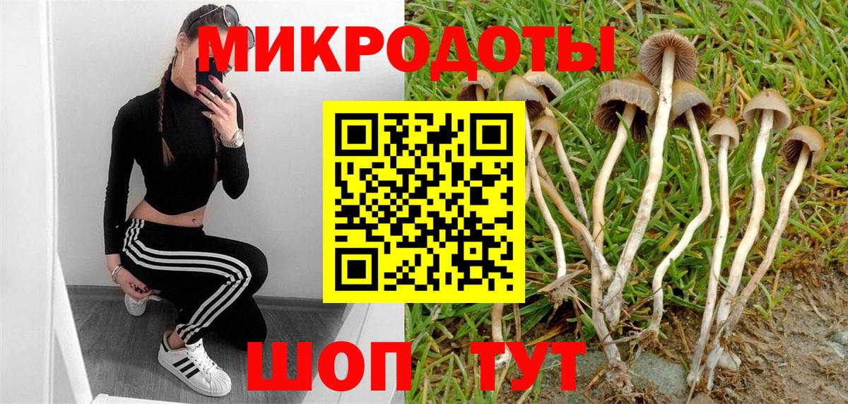 Псилоцибиновые грибы Psilocybine cubensis  Вход с VPN  Тобольск 