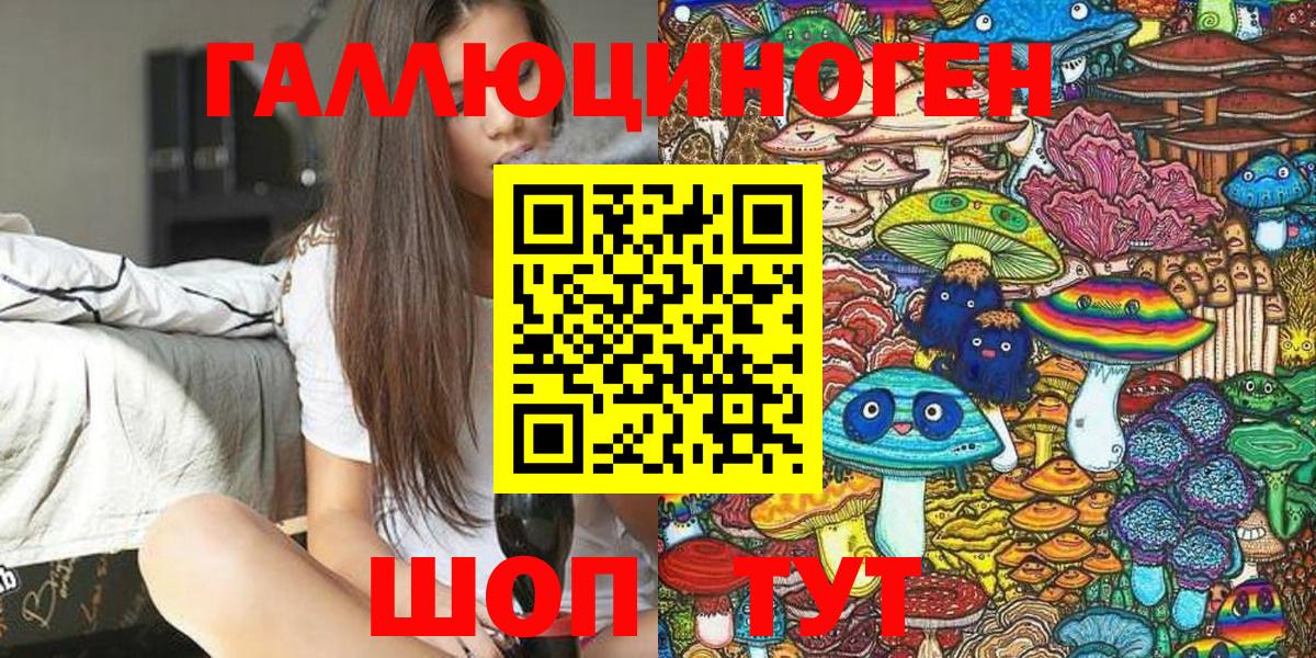 Псилоцибиновые грибы Psilocybe  Тобольск 